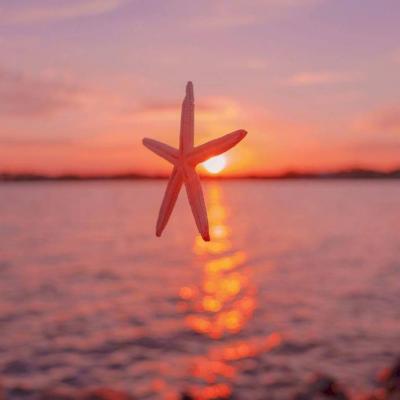 2024四月吉利带好运头像高清 唯美风景头像吉祥如意