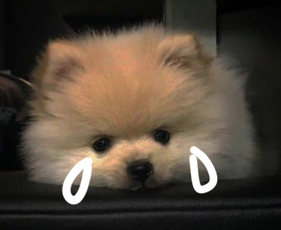 心凉到极致的网名 心凉到极点的网名