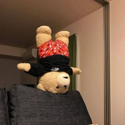 2024呆萌的又超级幽默的一款个性头像 真实的幸福是灯火阑珊和柴米油盐