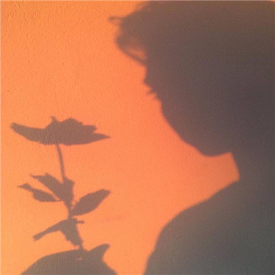 清新意境静景头像精选 人生在艰难也要平静面对