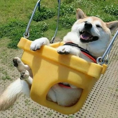 呆萌又很幽默的双人幸福的情头 超级幸福的甜蜜蜜蜜的好看的情头