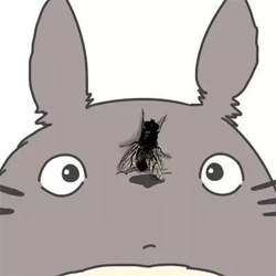 逼死强迫症系列让强迫症抓狂的贴吧头像带苍蝇