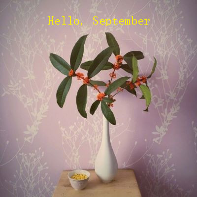 你好九月风景头像大全高清无水印 八月再见九月你好带字头像2024