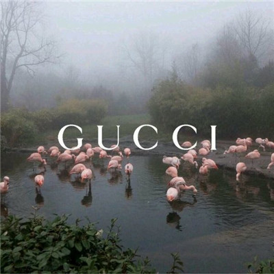 2024最流行的头像文字个性精选 先止住专情再戒了念念不忘