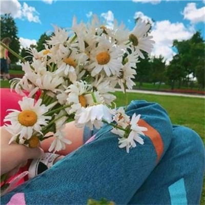 微信唯美风景头像小清新 每一个月亮里都藏着一份喜爱