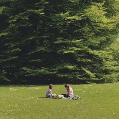 精选绿色唯美且高端质感的头像 睡安稳的觉把时间用在进步上