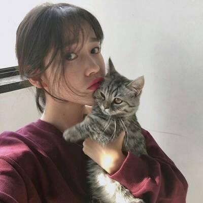 女生吸猫头像呆萌呆萌 好看的女生和猫咪合照头像