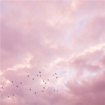 小粉红的天空唯美意境头像 看海天一色听风起雨落