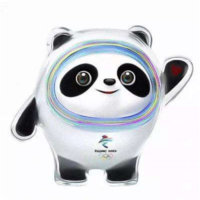 冬奥会吉祥物冰墩墩头像高清 在寒冷的冬天没人能拒绝一只冰糖滚滚