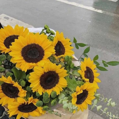 唯美意境风景微信头像精选 倾心的那一刻就是爱情了