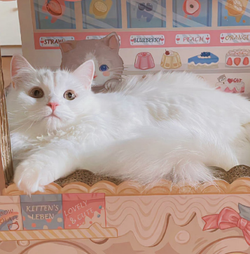 很个性不易撞的英文网名 质感好听的网名英文