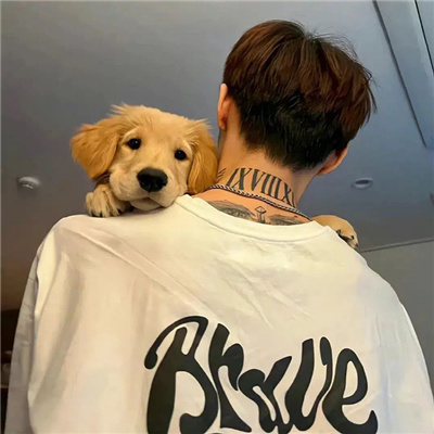 不露脸风度情调男头 风度深沉的魅力男头