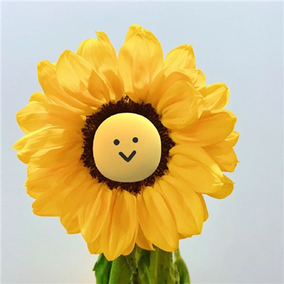 冲网上冲浪不能缺好看的你要的自由我还给你了