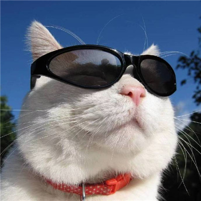 幽默男头很好用又很沙雕 逗比必备系列男头大全