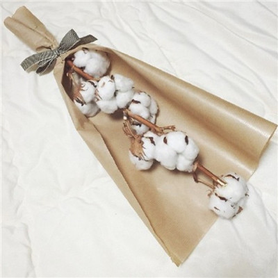 微信简单唯美木棉花头像高清 与其盼望着不如行动着