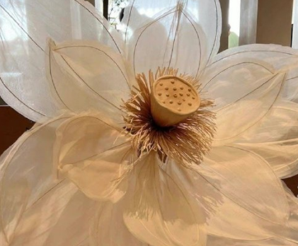 岁女性有涵养的微信名 淡定女人大气的网名