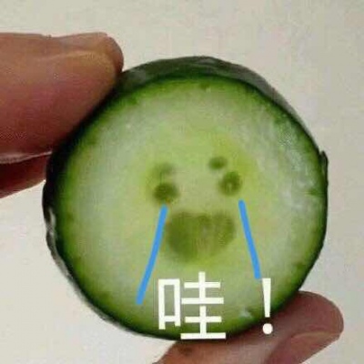 呆萌萌宠微信带字搞笑匆匆忙忙的想去见你 