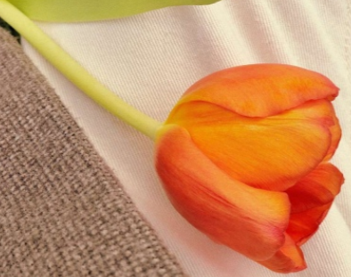 微信诗意网名女生简单风度 冬致夏陌