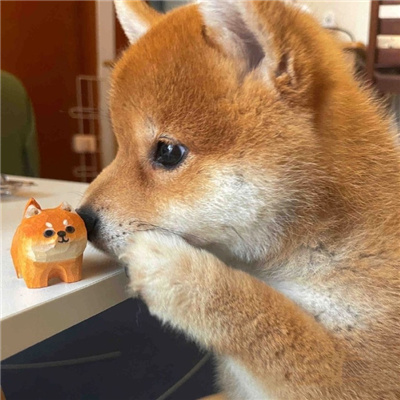 比较隐晦的动漫情头一人一半 热门又温馨的情头大全