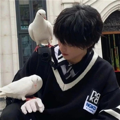 男头精致柔和帅到心坎上 想借你心头的月亮乘进一片唯美