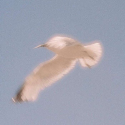 潮流风超级养眼的风景个性慢品人间烟火色闲观万事岁月长