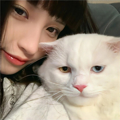 手抱宠物的女生头像高清 提前准备而不是提前焦虑