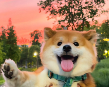 一大堆有趣呆萌搞笑网名 给我们带来开心的网名