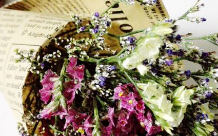 唯美闺蜜二人一对网名 我贪恋不懂这情的真与假