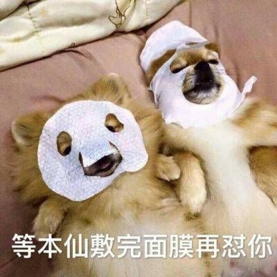 搞笑头像大全重口味图片 我不相信一见钟情但我似乎相信你