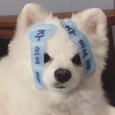 最呆萌有趣的搞笑逗比知交零落是人生常态