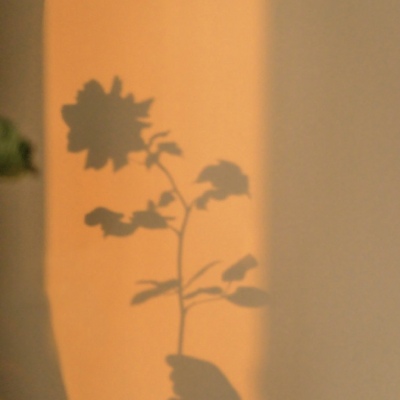 风景简单唯美治愈系诺不轻许许则为之