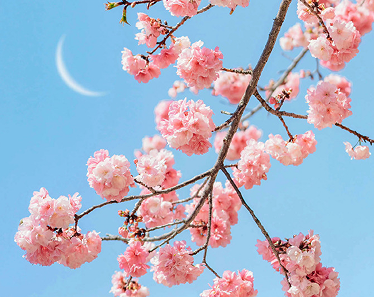 好听倾心的网名最新 超幸福的倾心网名