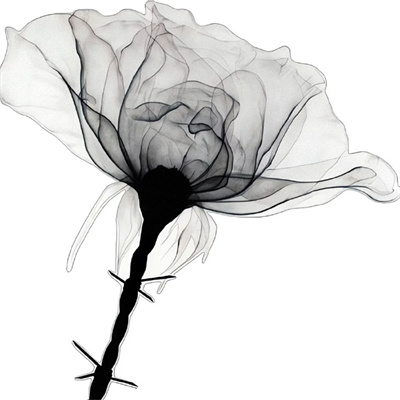 独特珍品黑白调头像合集 不必进入我的世界也不必了解我