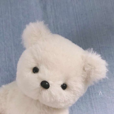 超级呆萌让人心化的猫咪萌宠头像大全 心里有太多无法说出来的心酸