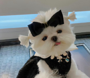 一眼万年的独特网名 顶级超爱的网名大全