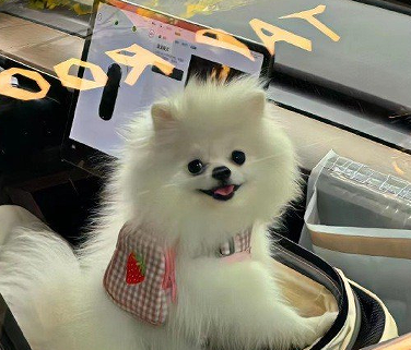 王者荣耀闺蜜网名搞笑逗比一对 适合开黑的游戏网名