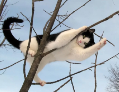 柔和中还带点甜的网名 超诱人的甜蜜网名