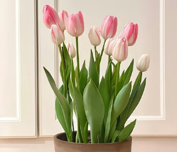 呆萌版未注册微信 很独特新出炉的呆萌网名