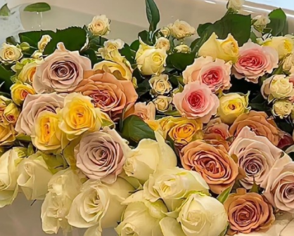 一个字的高冷抖音网名 吸引粉丝热门的一字网名