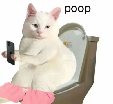 最火抖音英文网名 超吸粉的抖音网名