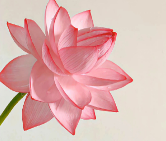 意境美到极致的网名 顶级美感度的网名大全