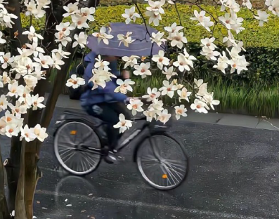 女性柔和大气网名大全 柔和又很有涵养的网名