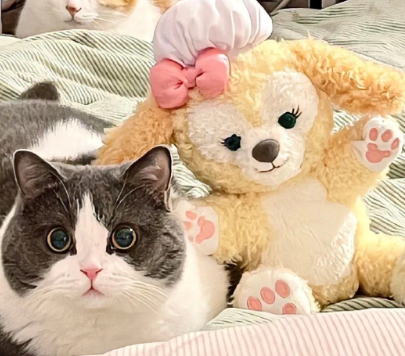 励志独特的个性网名 平淡又内涵的网名