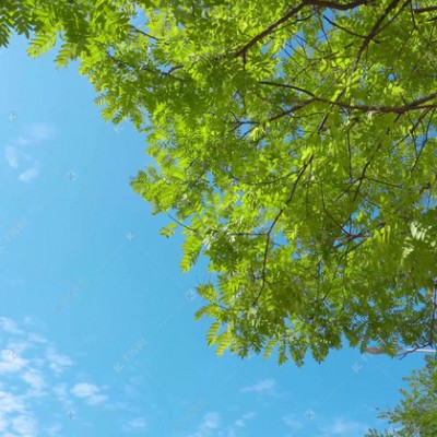 精致唯美系列的珍品风景时间会融化掉所有的尖锐