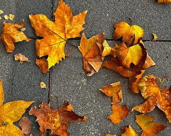 网名伤感心碎独一无二 破碎感的网名大全