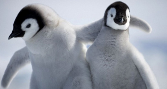 兄弟网名超拽威猛人 酒精无法麻痹我的愁绪