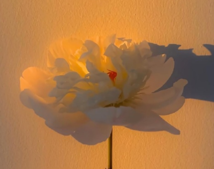 快手网名女最火威猛 快手网名威猛两个字