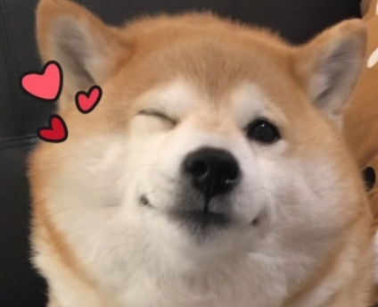 七夕微信网名单身狗专属 单身网名男生超拽