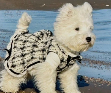 流行二字威猛网名最新 独特新版二字网名