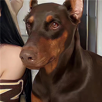 酷酷的情头一人一张 暗黑系情头一对威猛